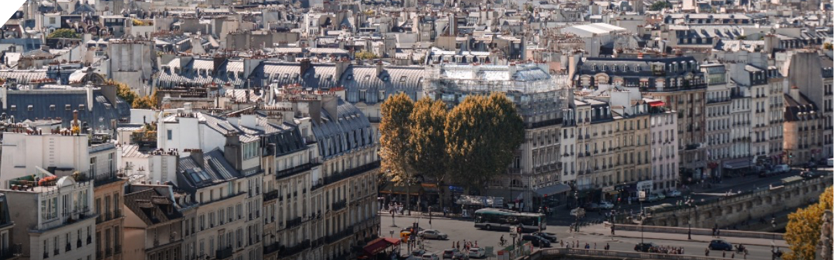 Picture of French city rooftops : managing urban planning
