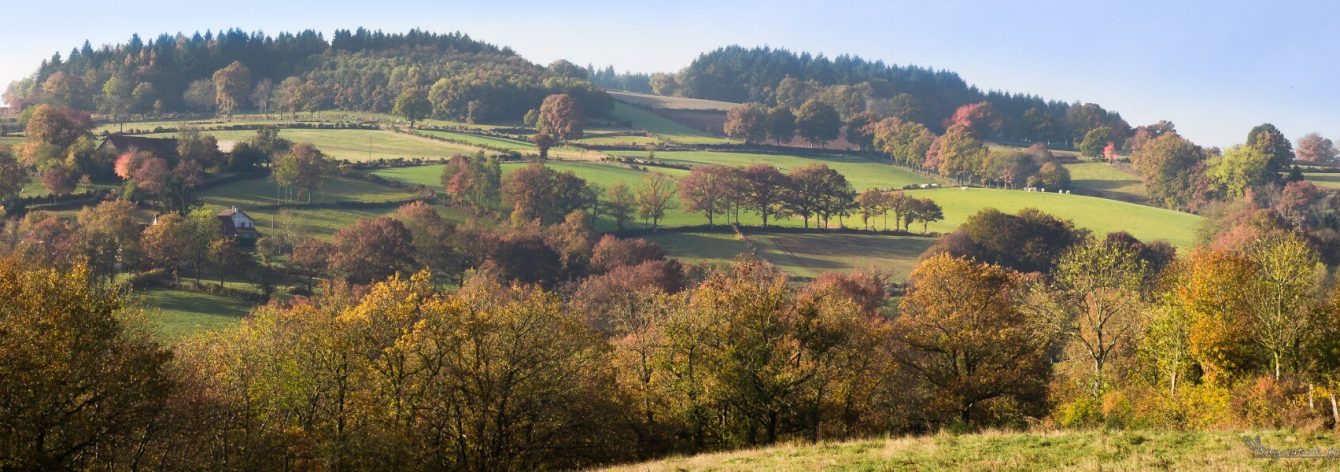 Vue panoramique d'un paysage bocager