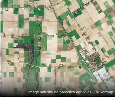 Vue satellite de parcelles agricoles