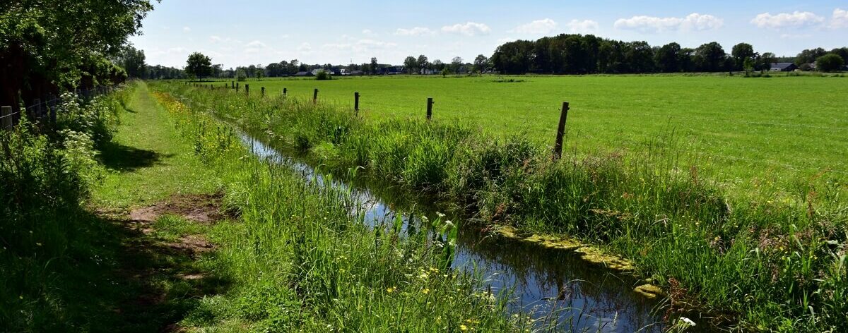 Paysage de campagne avec un ruisseau