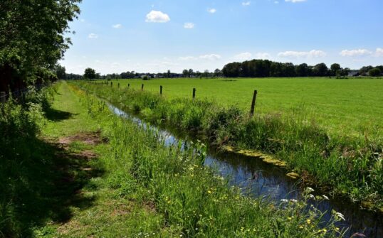 Paysage de campagne avec un ruisseau